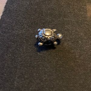 Pandora Turtle Charm Silver